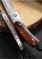 Japanische Premium 67-Lagen Damaskus Stahl VG10 Klappmesser Liner Lock America Desert Ironwood Griff für Outdoor Camping Messer