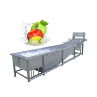Fruit Avocat Orange Dates Machine à laver à bulles Nettoyant Machine Équipement de lavage de fruits et légumes