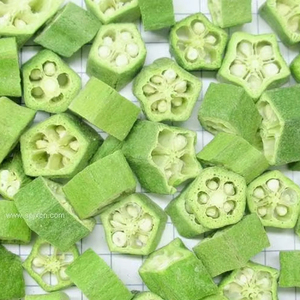 Fabricant de grands lyophilisateurs sous vide pour fraises Durians Fruits Légumes Okra Aliments pour animaux de compagnie - Product Image 6