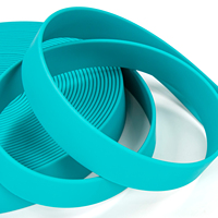 Sangle en nylon enduite imperméable en plastique de PVC de couleur faite sur commande à haute résistance de taille pour votre application créative