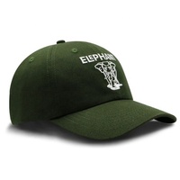 Casquette de baseball six panneaux personnalisée OEM avec logo brodé, ajustable, à fermeture snapback, pour hommes et femmes, cadeau promotionnel sportif