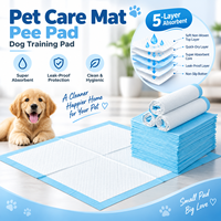 Tapis d'apprentissage jetables 6 couches anti-fuite de haute qualité pour chiots et chiens