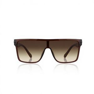 Gafas de sol marrón brillante 2037 - Product Image 1