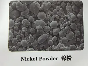 Poudre de nickel de haute pureté CAS: 7440 Poudre de Ni ultrafine électrolytique Prix de la poudre d'alliage métallique de nickel non sphérique