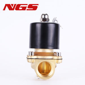 Válvula Solenoide de Acción Directa de Latón 2W040-10 3/8, 2W025-08 06 12V CC, 2W160-15 1/2 220V 110V 1.5 Pulgadas, 2W-250-25, 2W200-20, 2W500-50 - Product Image 2