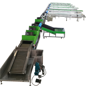 Máquina Calibradora de Frutas para Lavado, Encerado y Clasificación de Mango y Naranja - Venta Directa de Fábrica - Product Image 1