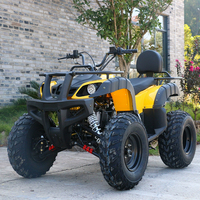 Quad à quatre roues automatique à essence et électrique de 250 cm3 haute puissance, quad pour adultes, UTV, moto tout-terrain