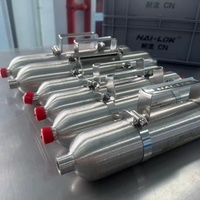 NAILOK High Pressure SS316 Gas Sampling Bottle 3000psi Double Ended Sample Cylinder for LNG LPG Natural Gas 500ml 1 Gallon