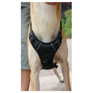 2025 nuevo arnés ecológico para perros XL, accesorio de plástico de nailon para mascotas con bonito conjunto de correa de cuello sólido para mascotas, sin tirones sólidos - Product Image 4