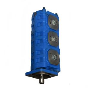 Pompe à huile HuamaoGear : Fournisseur de qualité, pompe hydraulique pour usine de production, garantie 1 an, matériel pour rapport technique (Shandong) - Product Image 4