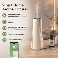 Diffuseur d'arômes portable sans eau en plastique pour petites batteries/Wi-Fi, mini diffuseur ultrasonique d'huiles essentielles, écologique