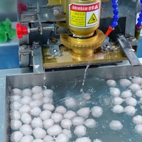 Mesin Pembentuk Bakso Ikan Kecil, Bakso Daging Sapi, Bola Kentang Keju, Bakso Italia, Efisiensi Tinggi Harga Terjangkau