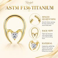 ASTM F136 Titan Herz Zirkon Segment Ring Doppelnutzen Nasen- und Ohrreif für Tägliches Tragen Körperpiercing Dekoration
