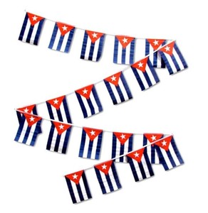 Drapeau publicitaire personnalisé en polyester 100D pour événements, impression numérique, avec mât en fibre de verre, vente en gros - Product Image 1