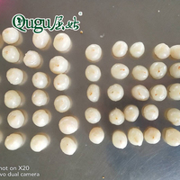 Blik Lychee Kan Voedsel Stuff Ontpit Lychee