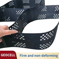 Mur de soutènement texturé perforé pour allée, Geocell Strataweb Geowebs, contrôle de l'érosion, HDPE durable noir, garantie 5 ans