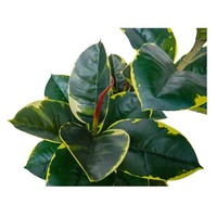 Décoration intérieure pour bureau à domicile et salon avec faux chêne artificiel en soie, plante en pot en plastique, design élégant pour intérieur