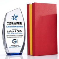 Nouveau design Trophée Bouclier en Cristal Grande surface de gravure Accent en cristal coloré Prix d'Excellence Mondiale en Affaires