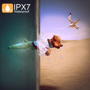 <span class=keywords><strong>Collier</strong></span> de dressage pour <span class=keywords><strong>chien</strong></span> Slopehill, vente la plus chaude, <span class=keywords><strong>collier</strong></span> de dressage pour <span class=keywords><strong>chien</strong></span> imperméable de type T701 au meilleur <span class=keywords><strong>prix</strong></span> - Product Image 2