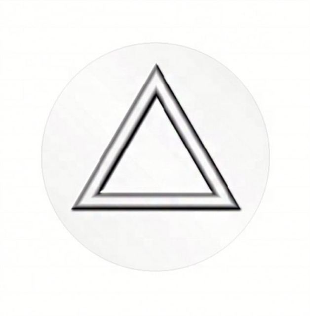 Custom Tactile Warning Triangle Label With Raised Braille for Blind