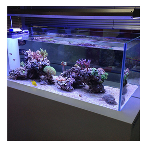 Doorzichtige Acryl Aquarium Aquarium 20-800Mm Dikte Met Aangepaste Snijverwerkingsservice - Product Image 1