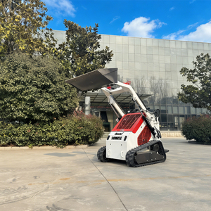 รถตักขนาดเล็กแบบมีรางตีนตะขาบ สำหรับงานฟาร์ม ก่อสร้าง จัดสวน เครื่องยนต์ดีเซล รถตักอเนกประสงค์สำหรับขาย - Product Image 6