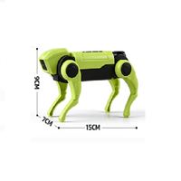 Kollaborativer Roboter Beliebtes Kinderspielzeug RC Lichtprojektions-Roboterhund-Bausatz