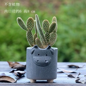 Fournir un <span class=keywords><strong>Pot</strong></span> <span class=keywords><strong>de</strong></span> <span class=keywords><strong>fleur</strong></span> <span class=keywords><strong>succulente</strong></span> en céramique <span class=keywords><strong>de</strong></span> forme animale - Product Image 4