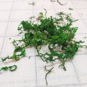 Mousse stabilisée conservée en gros Qihao Lichen Reindeer pour la décoration de bureau, jardin vertical - Product Image 4