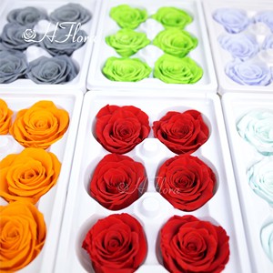 HFlora 5-6 cm 6 Piezas/caja Cabeza de Rosa Natural Preservada Eterna y Duradera para Enamorados Decoración del Día de San Valentín - Product Image 4