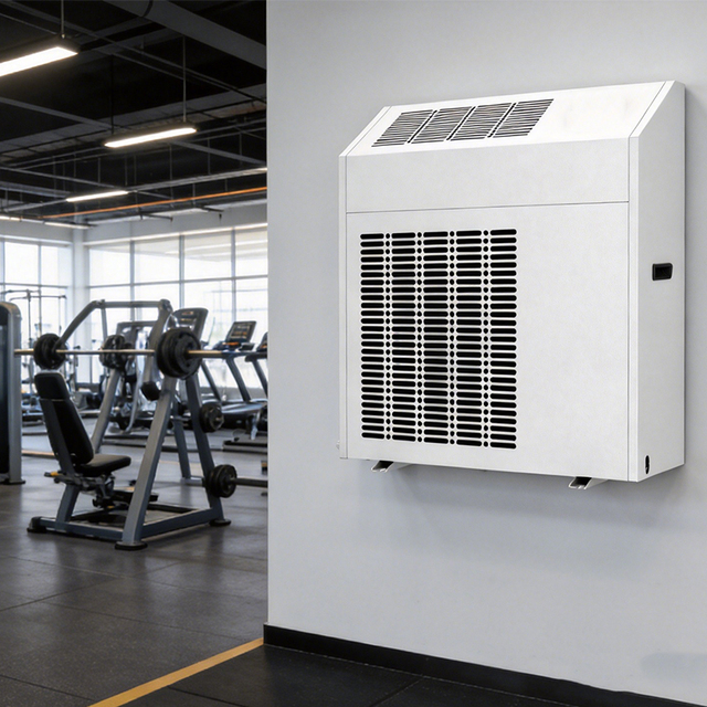 Heavy Duty Stainless Steel Case Wall-Mounted Dehumidifier 192L/D Anti-Corrosion for Pool and Spa Room Have Wifi Function Option