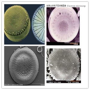 Polvere di Terra Diatomacea (DE) per Pulizia Piscine, Aiuto Filtrante, Trasportatore a Coclea Flessibile Kiselbur PU, Bianco 20kg - Product Image 5