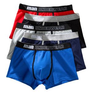 Boxers pour hommes de marque de luxe en coton, sous-vêtements sportifs pour jeunes, sous-vêtements pour hommes gays, caleçons pour hommes à rayures, sexy et originaux - Product Image 1
