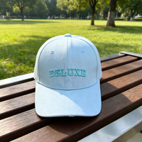 Casquette de baseball personnalisée avec logo brodé en 3D, vente en gros, coton, 6 panneaux, structurée, réglable, boucle métallique, uniforme d'équipe sportive, adulte