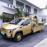Vente à chaud petit camion de fret New Energy VAN Truck à bas prix