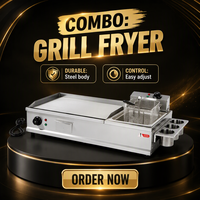 DanFuQi Plaque de cuisson électrique et friteuse professionnelle en acier inoxydable de qualité supérieure 3kw+2.5kw, équipement commercial silencieux