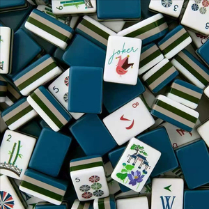 Fichas de Mahjong Americanas de Acrílico Premium con Acabado Brillante Efecto Carey, Diseño de Bambú, Juego Estándar de 166 Fichas para Juego en Casa y Recreación - Product Image 2