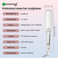 Lisseur professionnel multifonction 450F à vapeur infrarouge et plaques céramiques pour un séchage rapide – Vente en gros fabricant