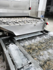 中国専門メーカー均一冷却トンネル冷凍庫環境に優しい冷媒トンネル冷凍庫（冷蔵保管用） - Product Image 6