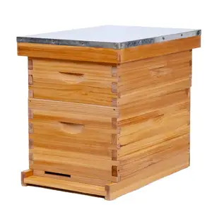中国最优惠价格2层10框架langstroth木制蜂巢
