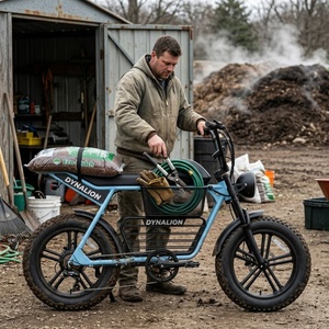 Umweltfreundliches Schwarzes Hybrid-Elektrofahrrad mit 48V 16Ah Lithium-Akku, Park-E-Bike für Gartenpflege - Product Image 6