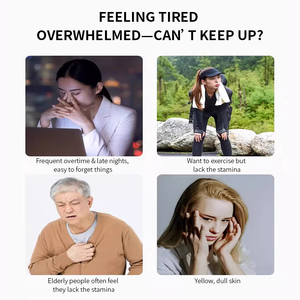 Suplemen Kapsul NAD+ OEM/ODM untuk Wanita, Pendukung Imunitas, Antioksidan, Kualitas Makanan untuk Dewasa - Product Image 4