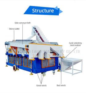 5吨绿咖啡豆种子加工厂可可豆清洗机谷物清洗分级机生产线 - Product Image 3