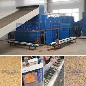 Danube Brand Large Capacity Continuous Working Type Food and Vegetable Mesh Belt Drying Machine - Product Image 3