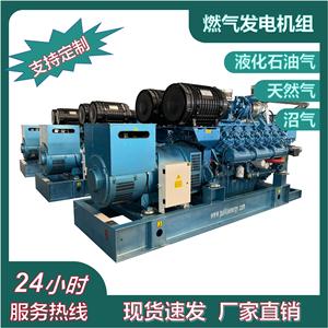 Grupo Electrógeno a Gas PULITA de 30kW 400V, Equipo de Generación de Energía - Product Image 3