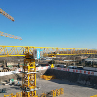 12 tonnes machines de construction à dessus plat 48m tour de grue de levage avec engrenage et composants de noyau de moteur prix concurrentiel