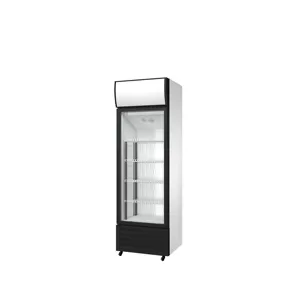 Refrigerator Ventilated Fridge Refrigerator Commercial Cooler And Freezer For Shop Air Cooling