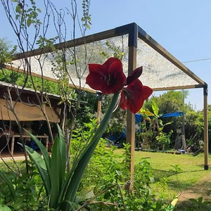 Red de camuflaje de media <span class=keywords><strong>sombra</strong></span> para pérgolas - Product Image 1