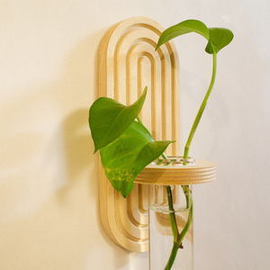 Station de propagation hydroponique murale <span class=keywords><strong>en</strong></span> <span class=keywords><strong>bois</strong></span> arc-<span class=keywords><strong>en</strong></span>-ciel, vase <span class=keywords><strong>en</strong></span> verre pour tubes à essai, support pour plantes d'intérieur - Product Image 4