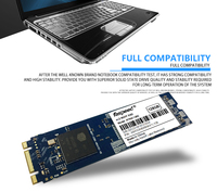 قرص صلب داخلي SSD من Faspeed مخصص بشعارك الخاص، سعة 128 جيجابايت إلى 2 تيرابايت، M.2 SATA 3 2280، تقنية 3D NAND TLC، سرعة قراءة 550 ميجابايت/ثانية وكتابة 420 ميجابايت/ثانية، ضمان لمدة 3 سنوات